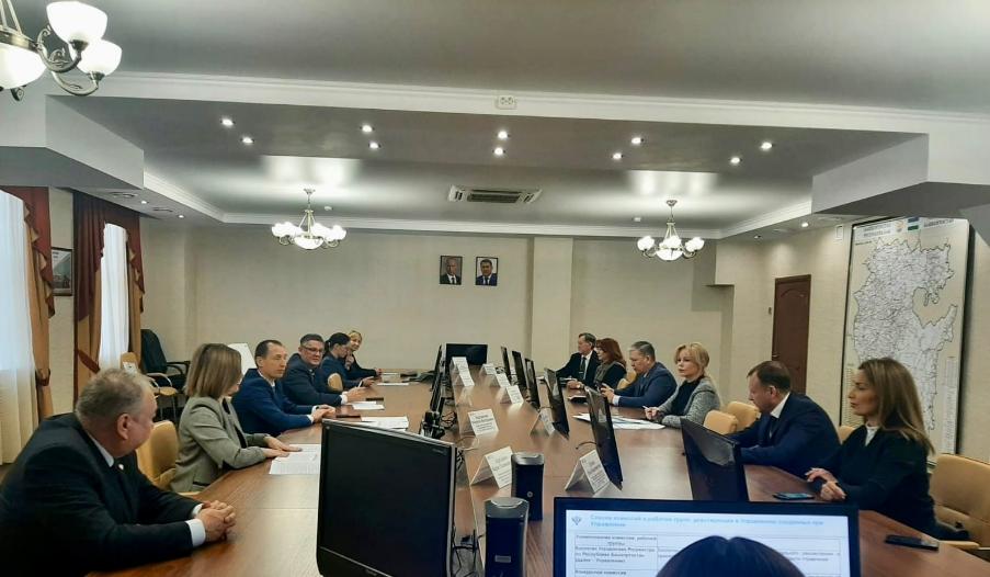 Состоялось заседание Общественного совета при Росреестре Башкортостана
